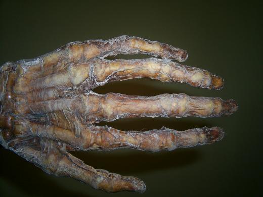 Prop Skeleton Hand