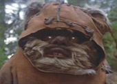 My Ewok
